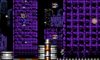 Final Mission (Japan)
