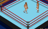 Fire Pro Wrestling 2 (U)(Venom)