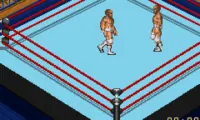 Fire Pro Wrestling 2 (U)(Venom)