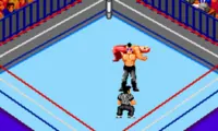 Fire Pro Wrestling – Combination Tag (Japan)
