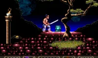 First Samurai (USA)