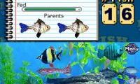 Fish Tycoon (USA)