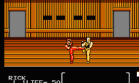 Flying Warriors (USA)