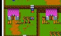 Gargoyle’s Quest II – The Demon Darkness (Europe)