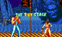 Garou Densetsu Special