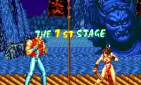 Garou Densetsu Special