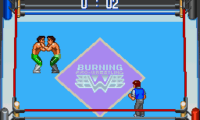 Gekitou Burning Pro Wrestling (Japan)