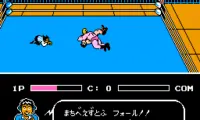 Gekitou Pro Wrestling!! – Toukon Densetsu (Japan)