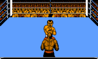 George Foreman’s KO Boxing (USA)