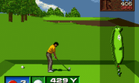 Get in the Hole (Japan)