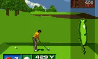 Get in the Hole (Japan)