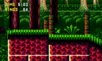 Giant Jungle