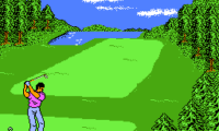 Golf ’92, The (Japan)