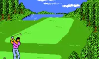 Golf ‘92, The (Japan)