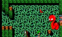 Golvellius (USA, Europe)