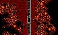 Guerrilla War (Europe)