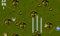 Gun Nac (USA)