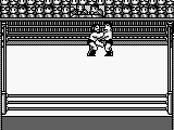 HAL Wrestling (USA)