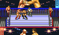 Hammerlock Wrestling (USA)