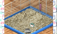 Hamster Monogatari 64 (Japan)