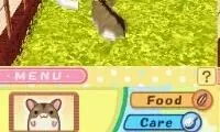 Hamsterz Life (Europe)