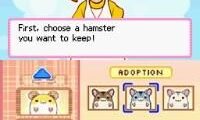 Hamsterz Life (USA)