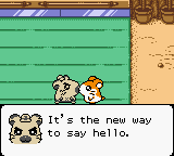 Hamtaro – Ham-Hams Unite! (Europe) (En,Fr,De,Es,It)