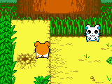 Hamtaro – Ham-Hams Unite! (USA)