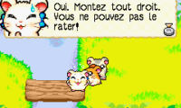 Hamtaro – Rainbow Rescue (E)(Rising Sun)