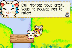 Hamtaro – Rainbow Rescue (E)(Rising Sun)