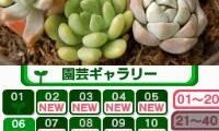 Hana Saku DS Gardening Life (Japan)