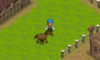 Harvest Moon 64 (USA)