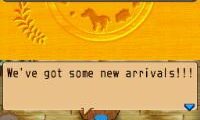 Harvest Moon DS – Island of Happiness (USA)