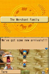Harvest Moon DS – Island of Happiness (USA)