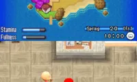 Harvest Moon DS – Sunshine Islands (Europe) (En,Fr,De,Es,It)