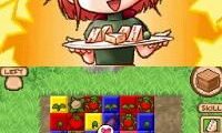 Harvest Moon – Frantic Farming (USA)