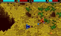 Herzog Zwei (USA, Europe)