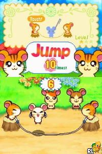 Hi! Hamtaro – Ham-Ham Challenge (Europe) (En,Fr,De,Es,It)