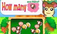 Hi! Hamtaro – Ham-Ham Challenge (USA)