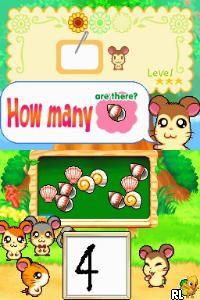 Hi! Hamtaro – Ham-Ham Challenge (USA)