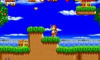 High Seas Havoc (USA)