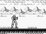 Hiryuu no Ken Gaiden (Japan)