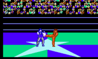 Hiryuu no Ken III – 5 Nin no Ryuu Senshi (Japan)
