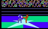 Hiryuu no Ken III – 5 Nin no Ryuu Senshi (Japan)