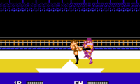 Hiryuu no Ken Special – Fighting Wars (Japan)