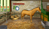 Horse and Pony – Let’s Ride 2 (E)(Rising Sun)