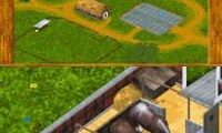 Horse & Foal – My Riding Stables (Europe) (En,Sv,No,Da)