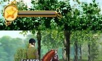 Horse Life (USA)