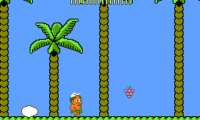 Hudson’s Adventure Island II (USA)