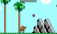Hudson’s Adventure Island III (USA)
